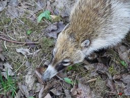 Tiergarten Schönbrunn am 23.03.2023